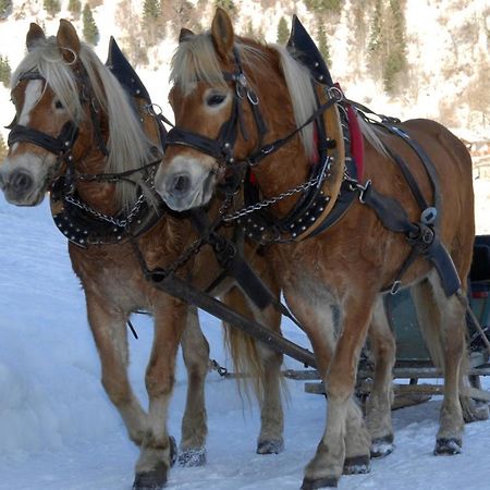 Hotel Monte Civetta Alleghe Dış mekan fotoğraf