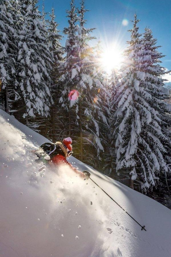 Hotel Monte Civetta Alleghe Dış mekan fotoğraf